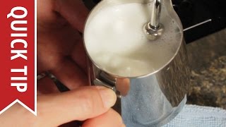 How to AutoFroth Milk for Lattes [upl. by Ijar543]