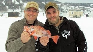 Pêche sous glace au poisson de fond à la Baie [upl. by Okkin]