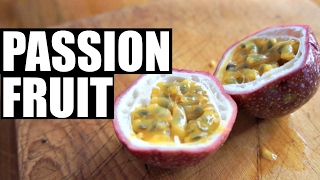 PASSION FRUIT Taste Test  Fruity Fruits [upl. by Yznyl381]