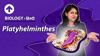 Platyhelminthes  Hindi  Diversity In Living Organisms  Biology Class 9 [upl. by Idden]