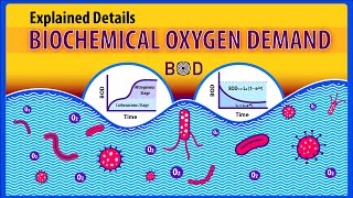 Dechlorination Meaning [upl. by Treble]