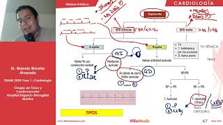 CARDIO  Arritmias Cardíacas  ENAM 2020 [upl. by Gibby]