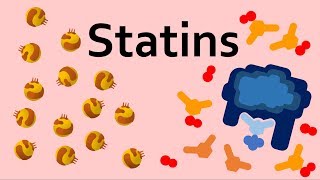 Statins and Cholesterol [upl. by Richter]