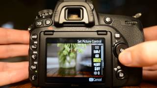 Nikon D750  How to turn on Exposure Preview in Liveview [upl. by Jeremias]