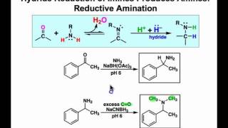 Hydroboration  Oxidation Reaction Mechanism [upl. by Viehmann198]