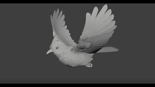 Bird Flying Animation [upl. by Teodor843]