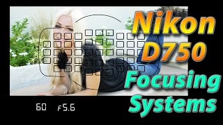 Nikon D750 Tutorial Training  Focusing Systems  How to [upl. by Venuti]