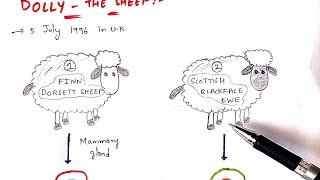 Animal cloning  Production of Dolly  The sheep  Somatic cell nuclear transfer  Bio science [upl. by Omixam517]