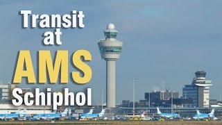 Transit at Amsterdam Schiphol Airport  Gates C to gates F [upl. by Kizzie796]