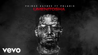 Prince Kaybee  Umenitosha Visualizer ft Polaris [upl. by Erle366]