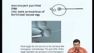 Mod09 Lec35 Transgenic animals [upl. by Linnea]