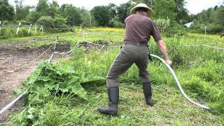 A modern Seymour Midwest Tools scythe at work [upl. by Thornie]