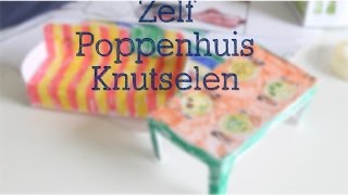 Zelf poppenhuis maken  Knutselen met Liam  Pelpina [upl. by Claudina]