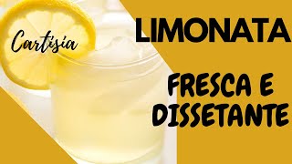 LIMONATA FATTA IN CASA RICETTA DELLA NONNA [upl. by Ennoval]