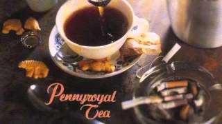 Nirvana  Pennyroyal Tea single Full [upl. by Dnomzed804]