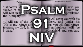 Psalm 91  New International Version NIV [upl. by Savadove]