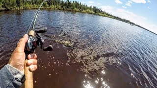 Tackle for BIG Canadian Pike [upl. by Atinahs385]