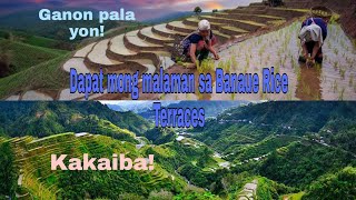 Banaue Rice Terraces as Tourist Attraction in the PhilippinesHagdanhagdang Palayan [upl. by Emilia343]