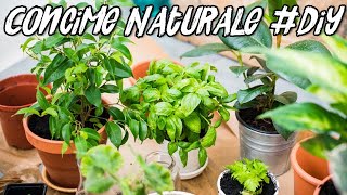 Concime Naturale  Fertilizzante Liquido Fai da Te  Liquid Fertilizer DIY [upl. by Cypro929]