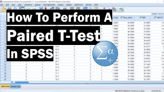 How To Perform A Paired TTest In SPSS [upl. by Rubel193]