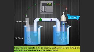 Standard Hydrogen Electrode [upl. by Quinton]