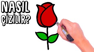 ÇOK KOLAY GÜL ÇİZİMİ  Gül Nasıl Çizilir  How to Draw a Rose Super Easy [upl. by Hurlbut551]