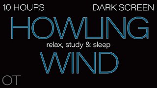 HOWLING WIND Sounds for Sleeping Relaxing Studying BLACK SCREEN Real Storm Sounds 10 HOURS [upl. by Ninette]