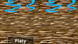 Water Movement in Soil [upl. by Ahtar300]