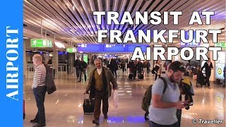 TRANSIT WALK AT FRANKFURT Airport FRA Terminal 1  Connection Flight Transfer Arriving amp Departing [upl. by Hadnama]