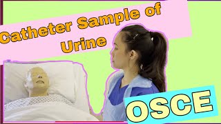 Catheter Sample of Urine CSU OSCE 2021 [upl. by Bornstein]