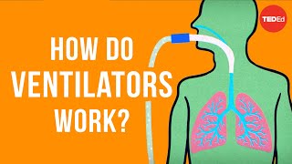 How do ventilators work  Alex Gendler [upl. by Reivaxe]