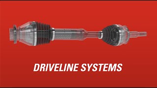 Nexteers Driveline Systems [upl. by Aikenat]