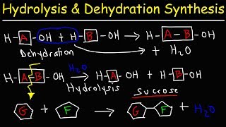 Understanding ORP Oxidation Reduction Potential  Orenda Whiteboard [upl. by Kooima]